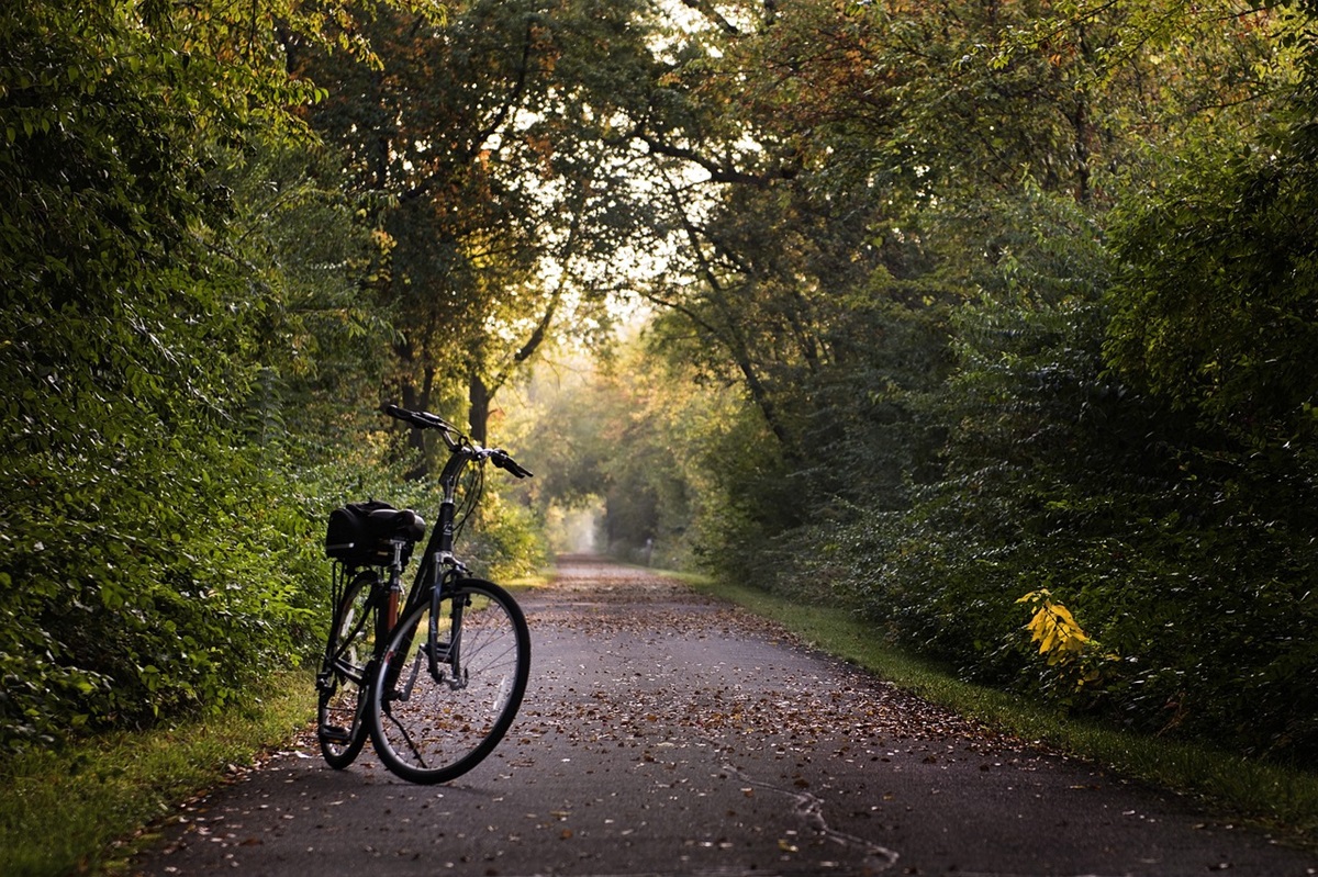 A bike tour through Japan is one of the best ways to discover the country.