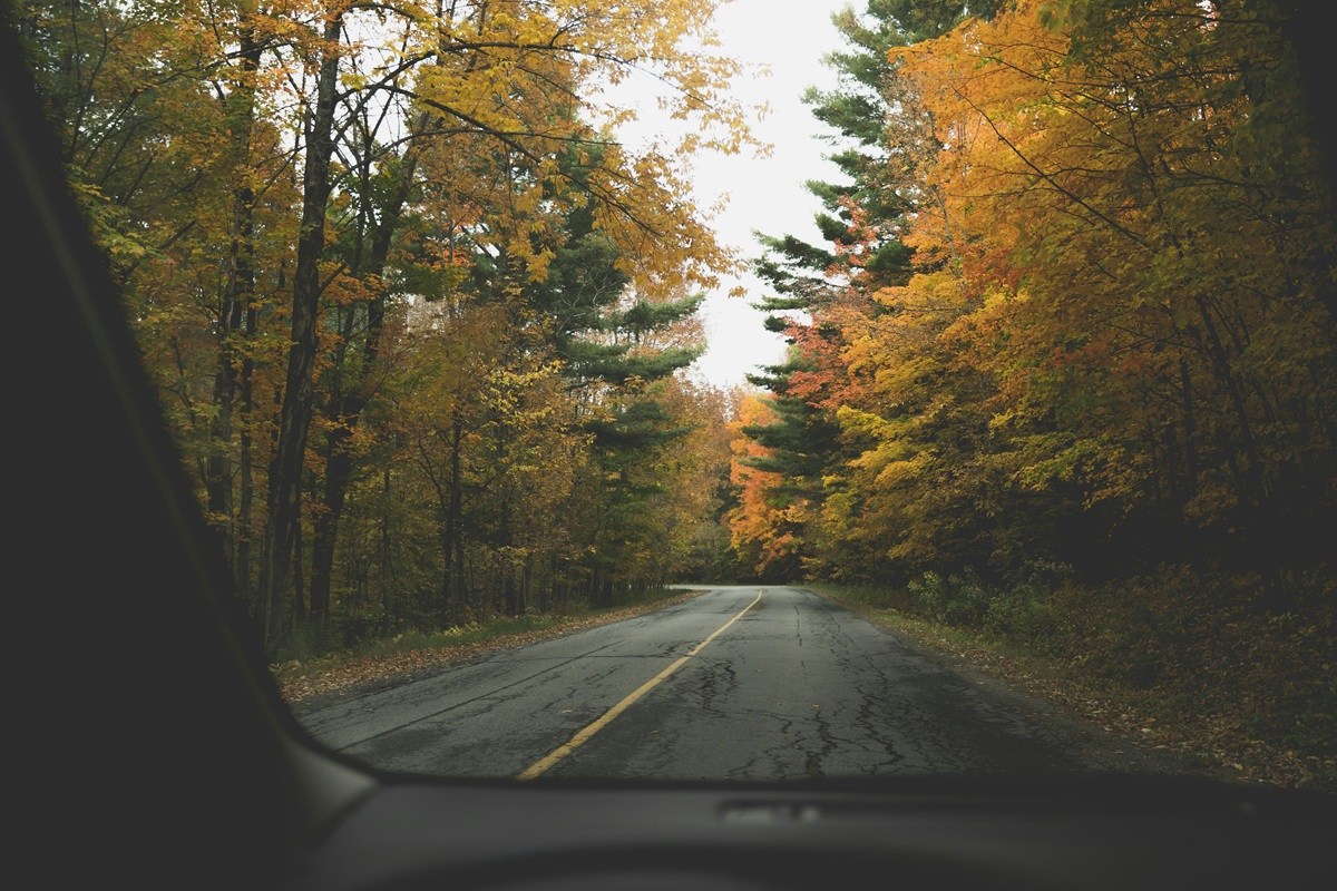 Best car shipping company for stress-free Family Travel Adventures in Fall