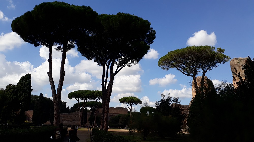 The gardens of the Baths of Caracalla