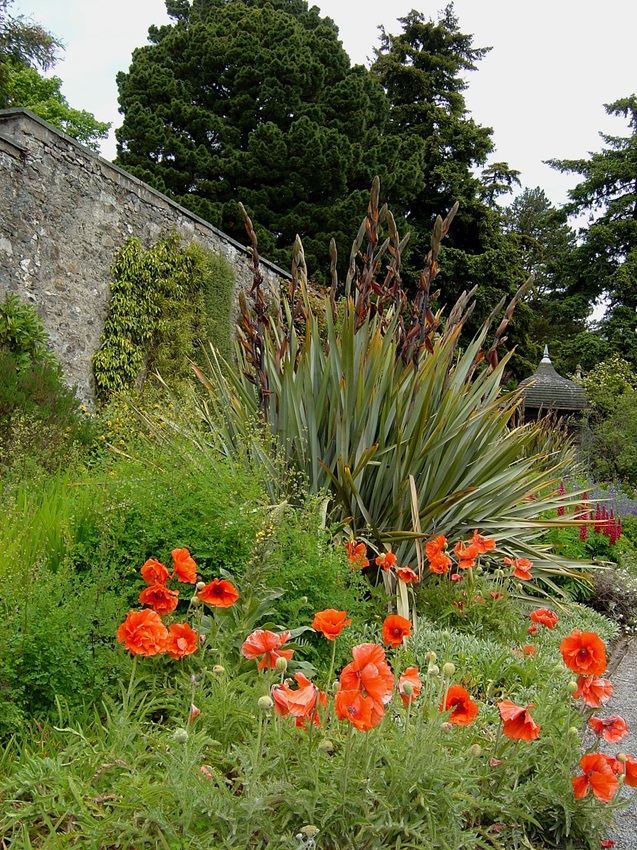 You can visit Bodnant Garden in North Wales