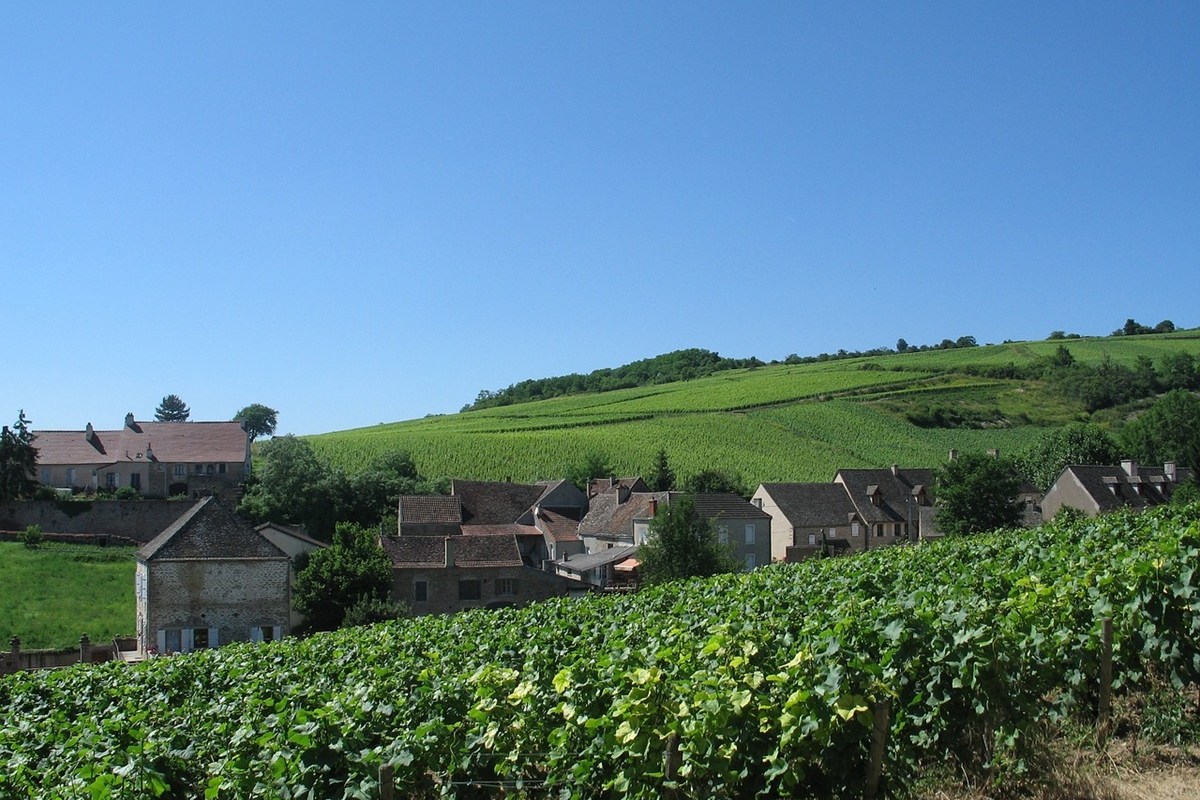 Burgundy - French Wine Regions