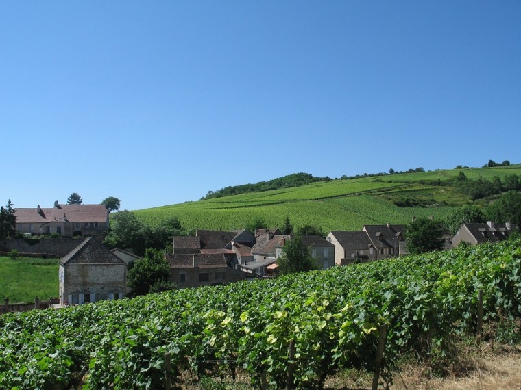 Burgundy - French Wine Regions