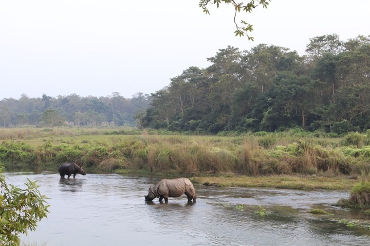 Chitwan National Park, Nepal