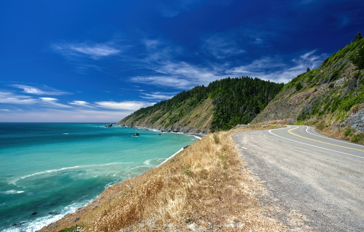 Pacific Northwest Road Trip