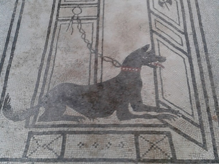 Roman mosaic representing a dog in a rich villa in Pompeii.