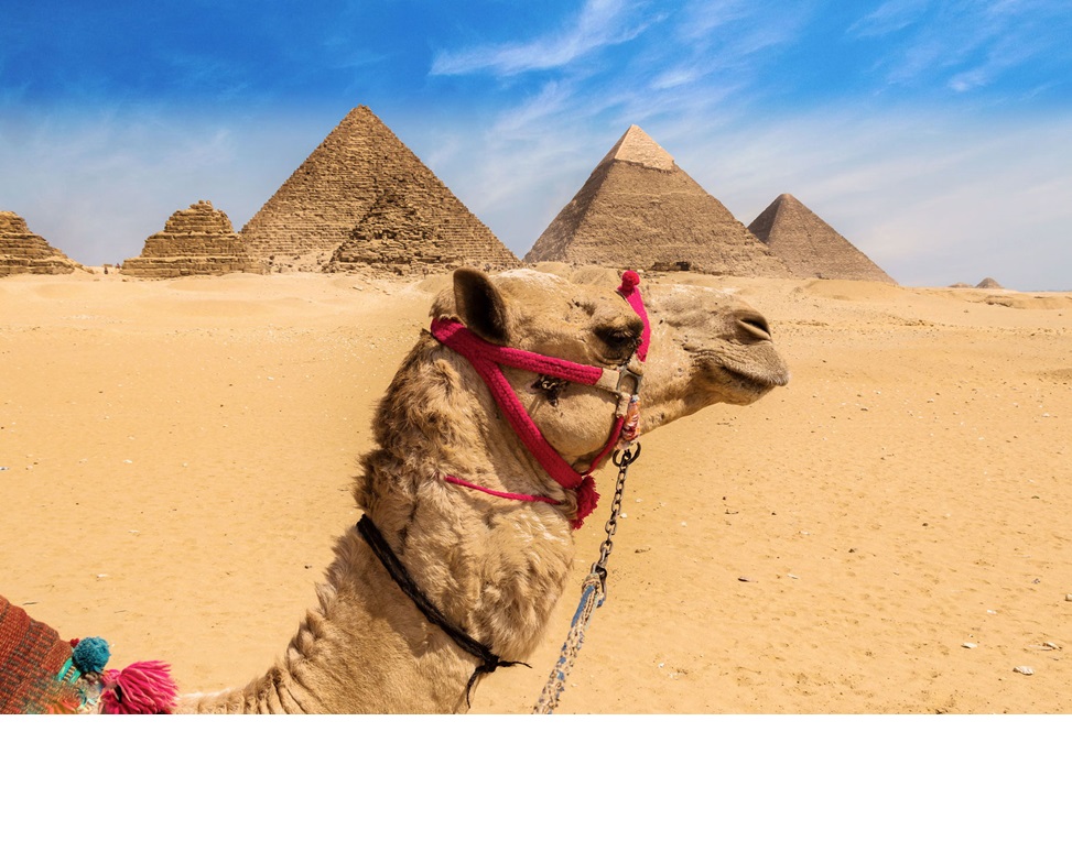 A camel ride next to the pyramids is one of the reasons to visit Egypt