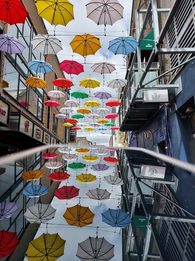 Using reflections makes yout photos even better