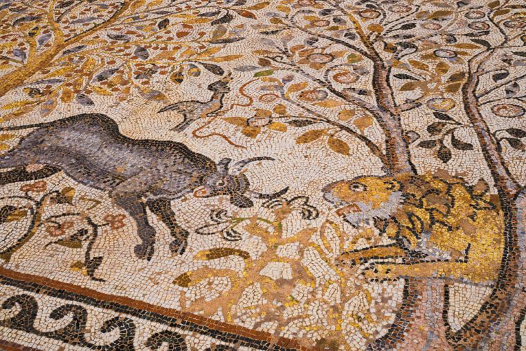 Typical Roman Mosaic representing an animals fight in North Macedonia.