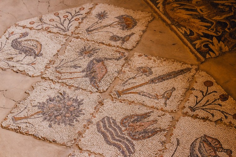 Roman mosaics representing flora and fauna in Madaba, Jordan.