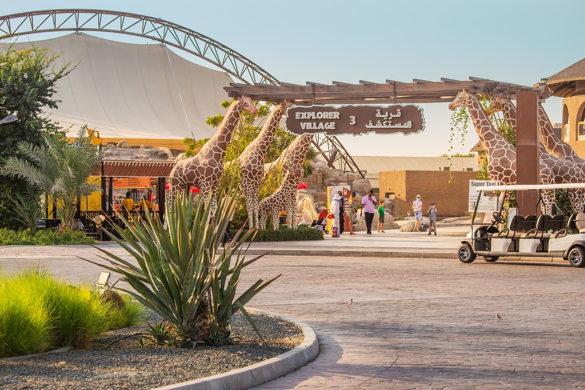 the village at dubai safari park