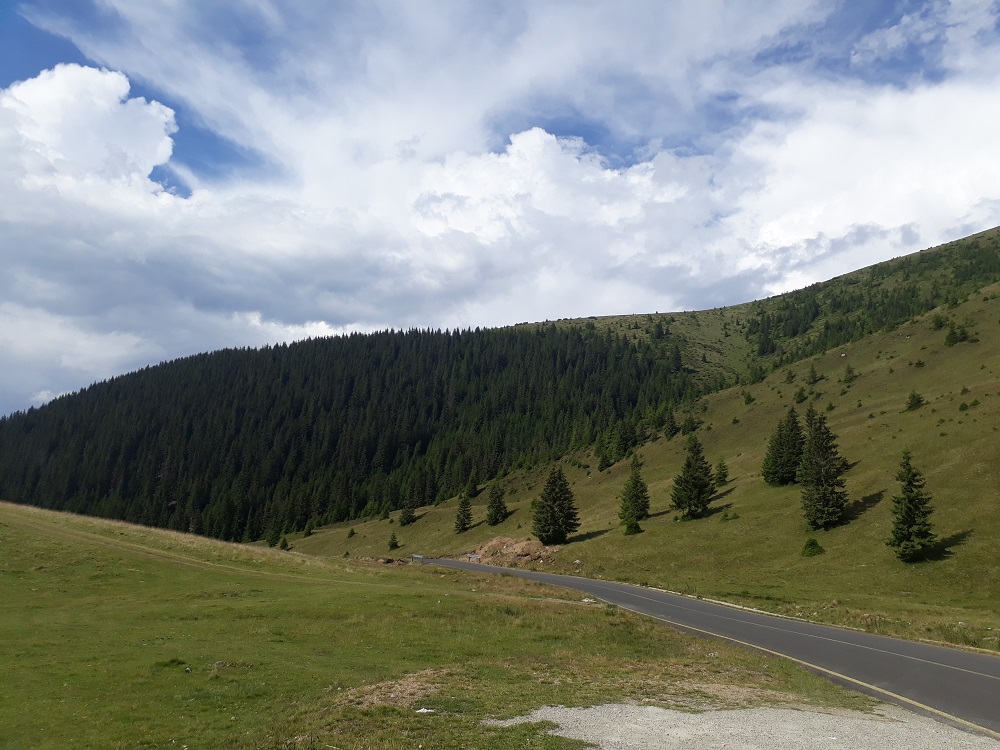Transalpina road