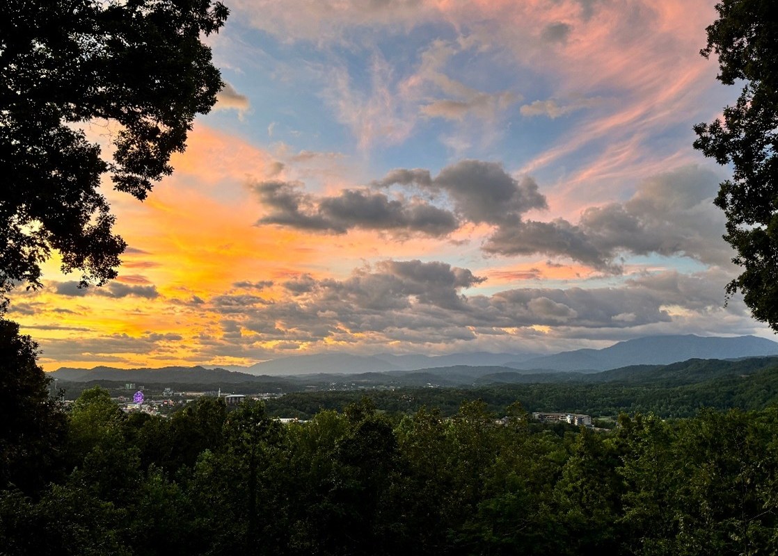 Traveling with the Whole Family