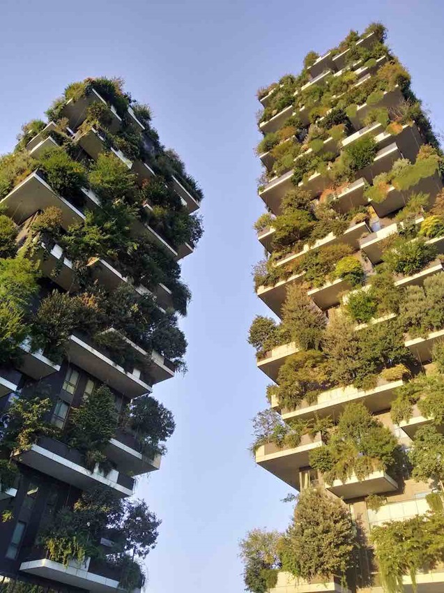 Milan's vertical forest