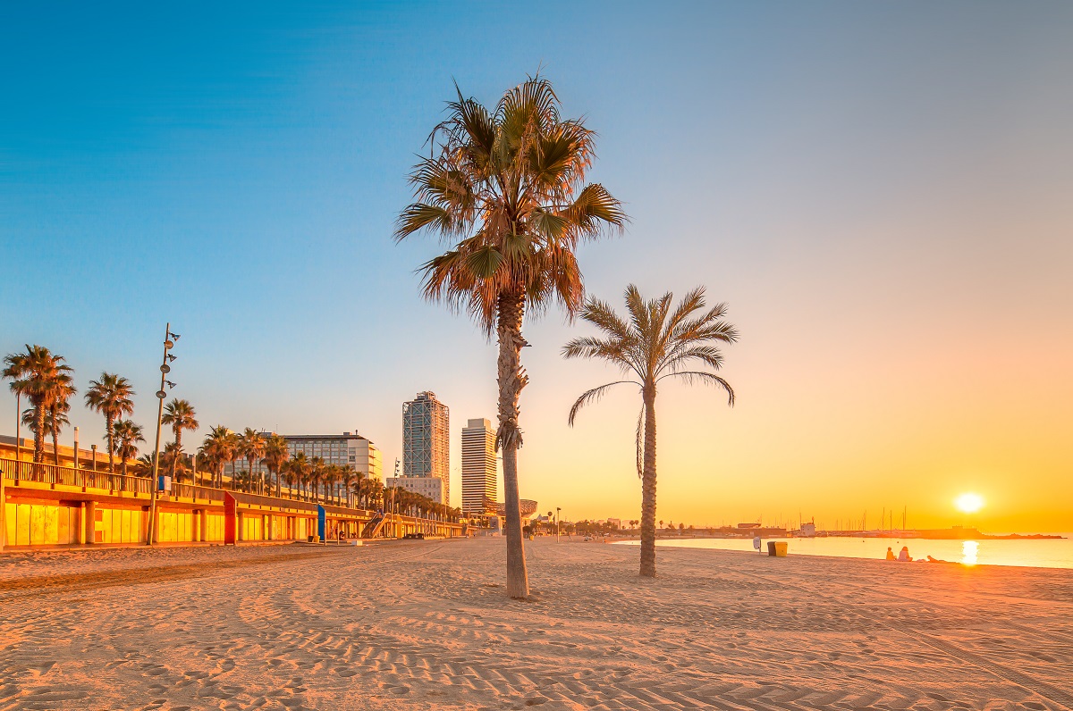 What to do in Barcelona in winter