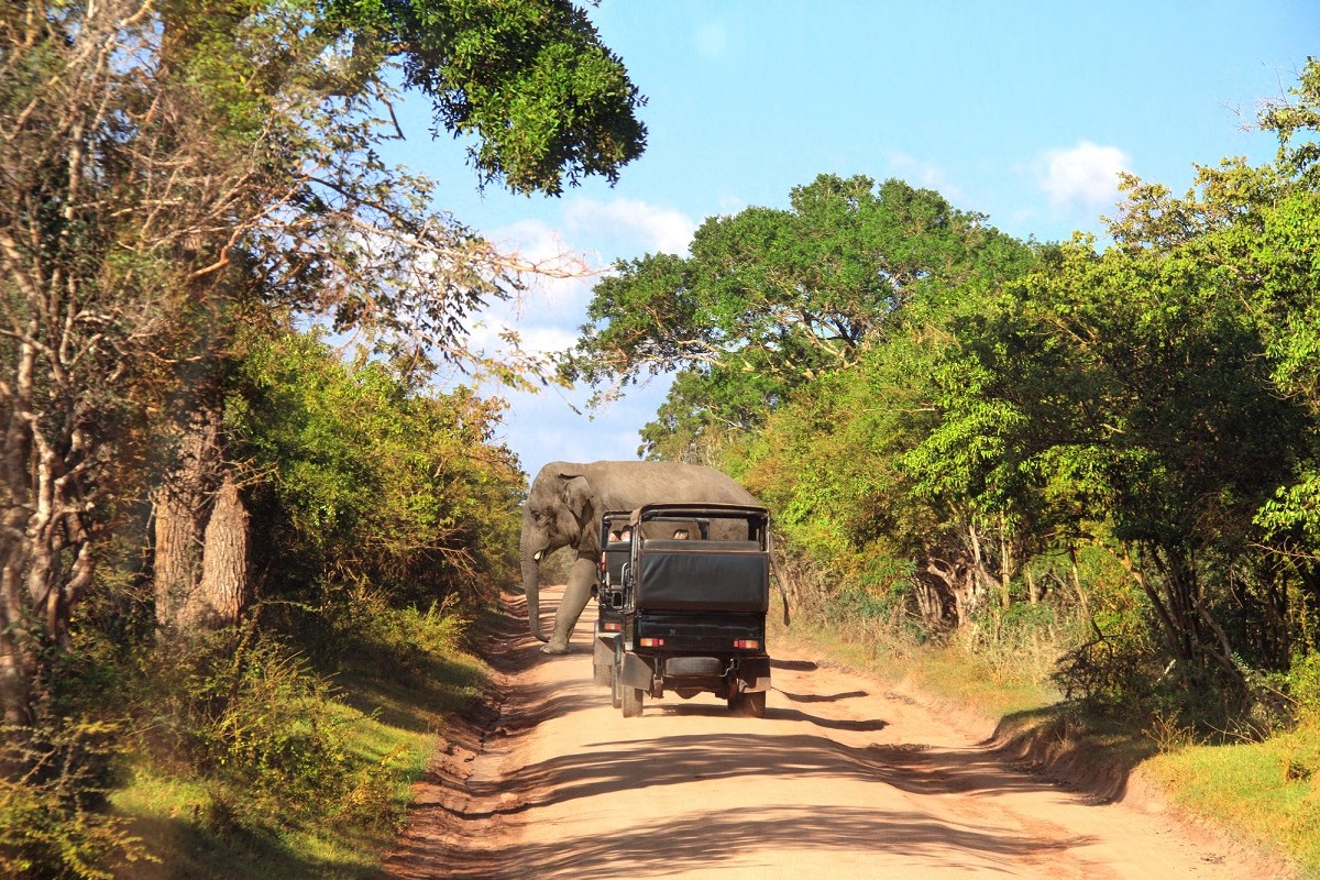 Yala National Park
